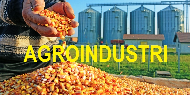 MENUJU INDONESIA NEGARA AGROINDUSTRI YANG MODERN