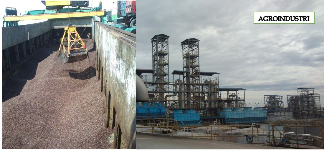 MENGENAL AGROINDUSTRI