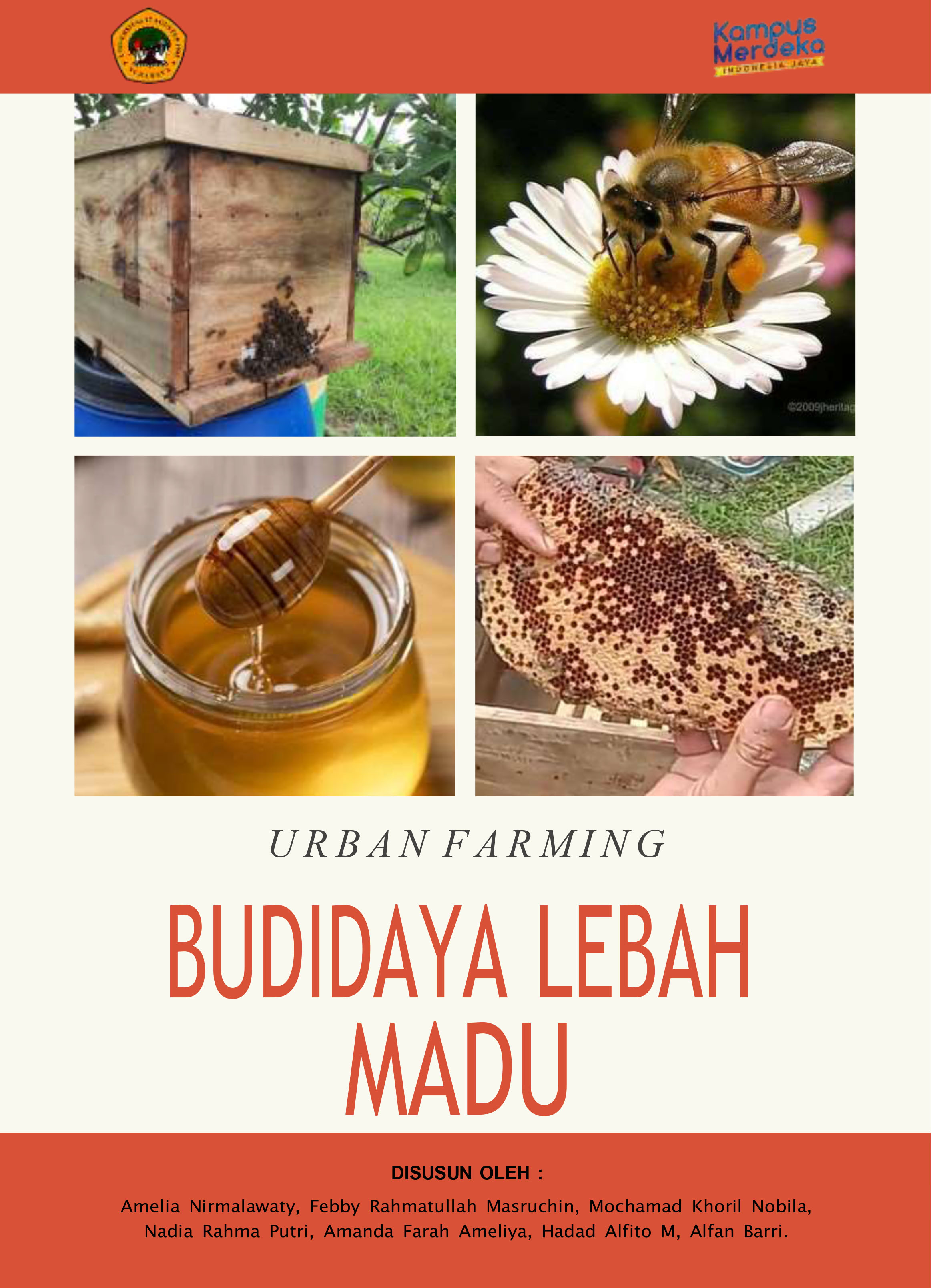 URBAN FARMING BUDIDAYA LEBAH MADU