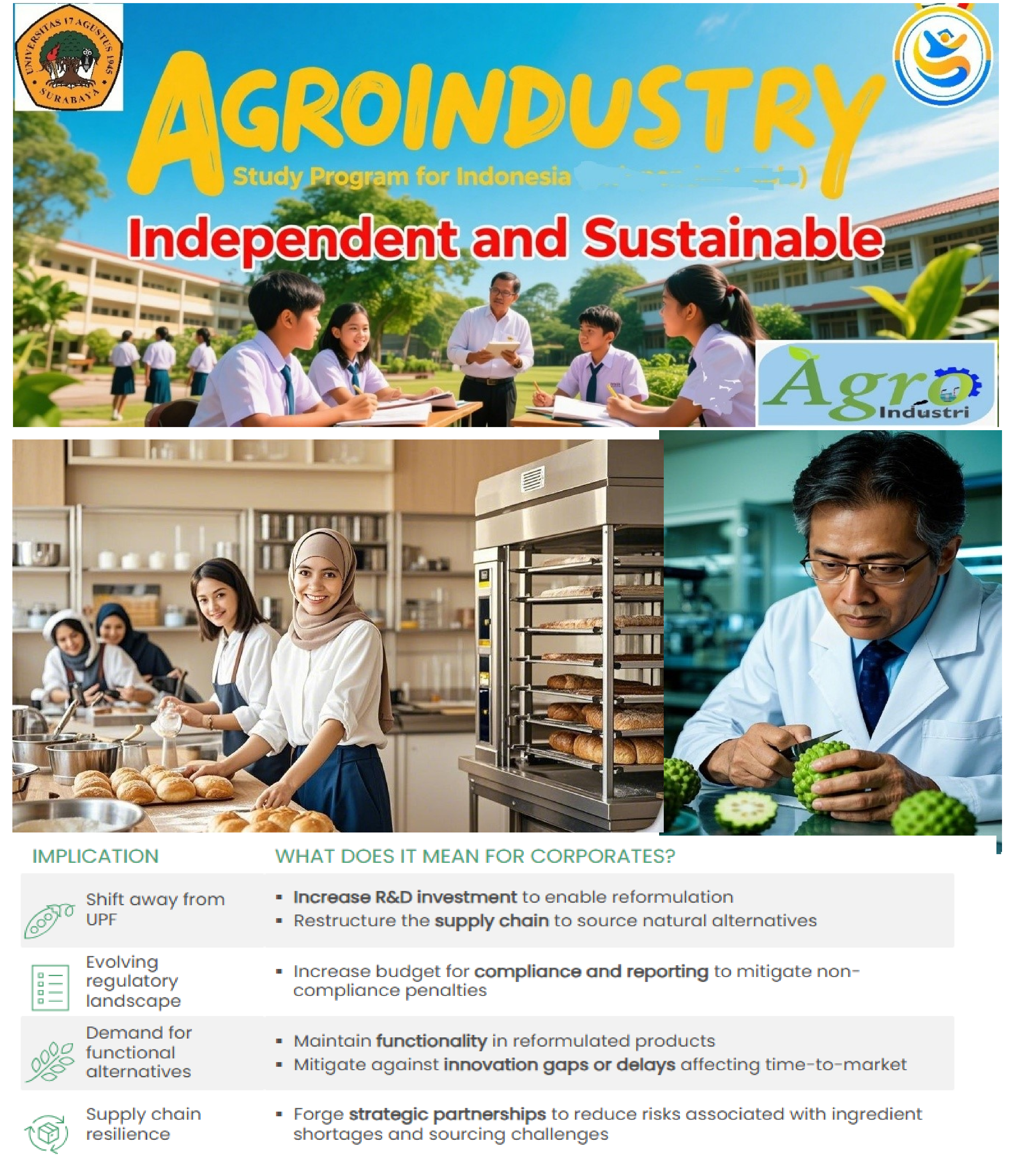 MENINJAU ULANG PRODUK MAKANAN ULTRA PROSES