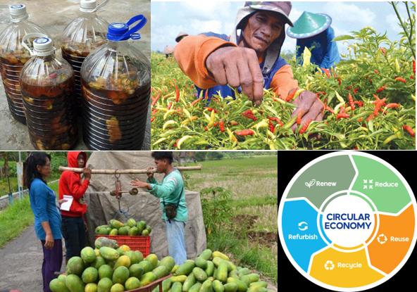 PERTANIAN BERKELANJUTAN  MENERAPKAN EKONOMI SIRKULAR