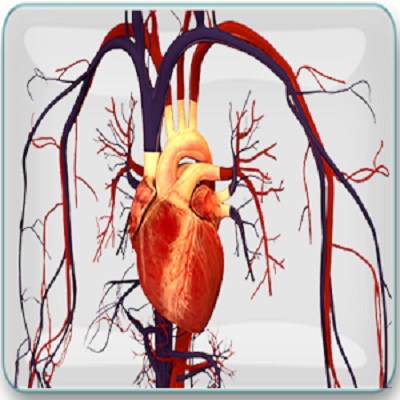 POLA HIDUP DAN PENYAKIT JANTUNG KORONER 