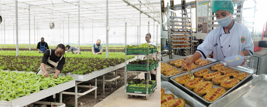 MEMACU INOVASI DAN DIGITALISASI AGRIBISNIS DI INDONESIA