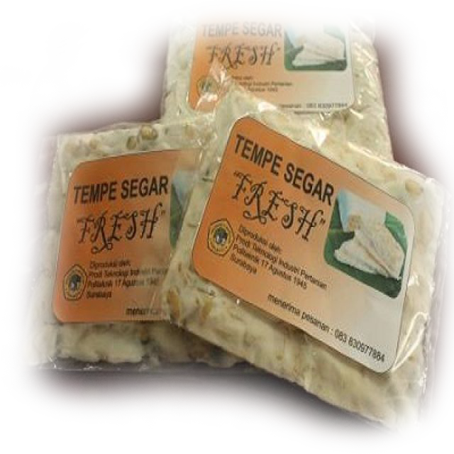 TEMPE FRESH POLITEKNIK UNTAG SURABAYA