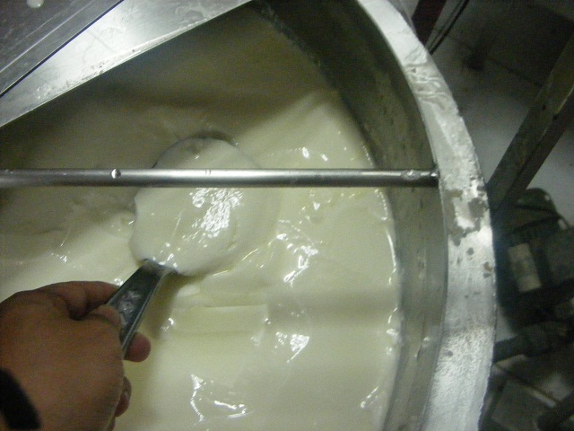 Kreasi Mahasiswa TIP POLTEK UNTAG : Fermentasi Yoghurt